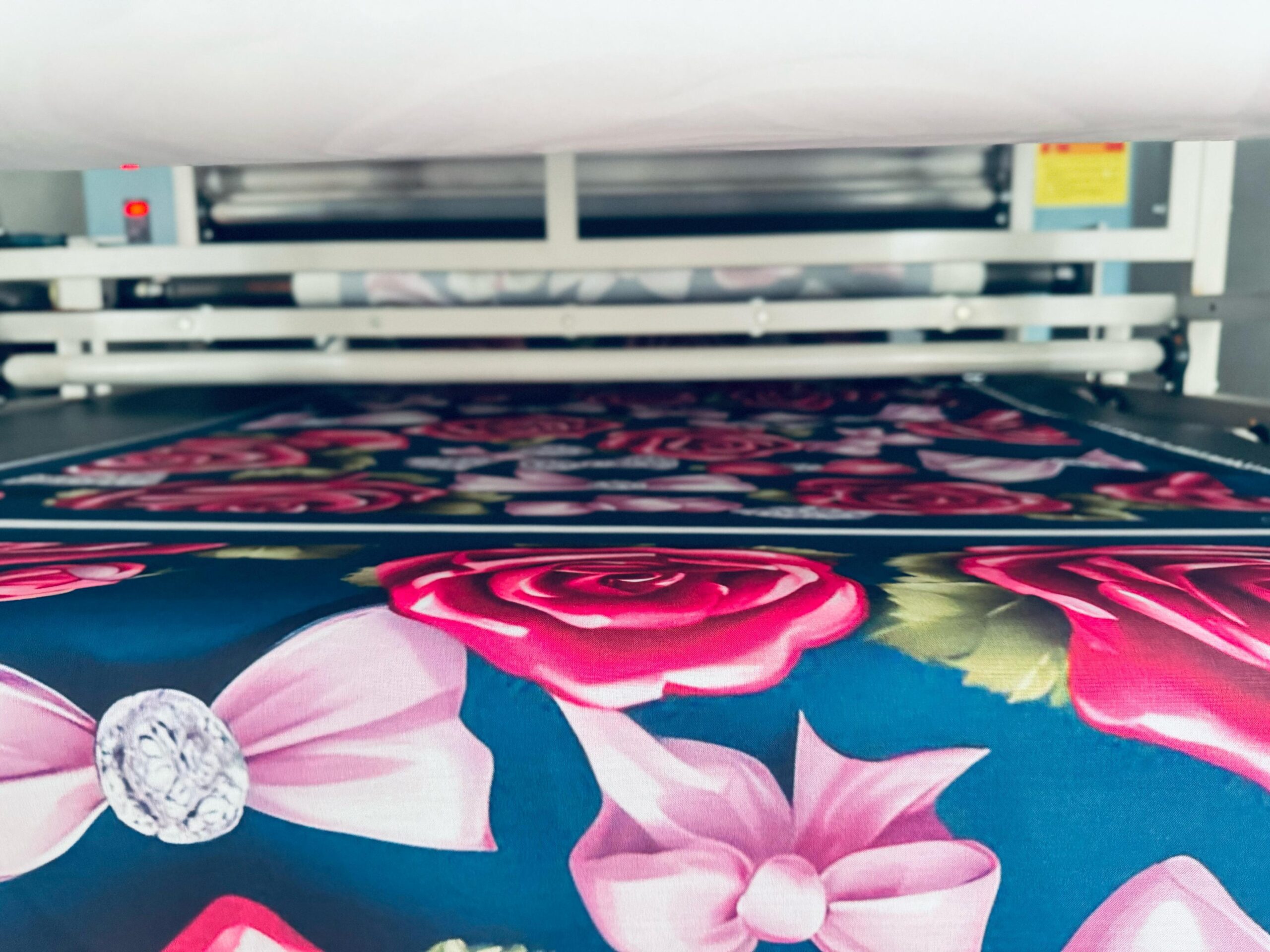 WhatsApp Image 2025-10-01 at 15.12.55