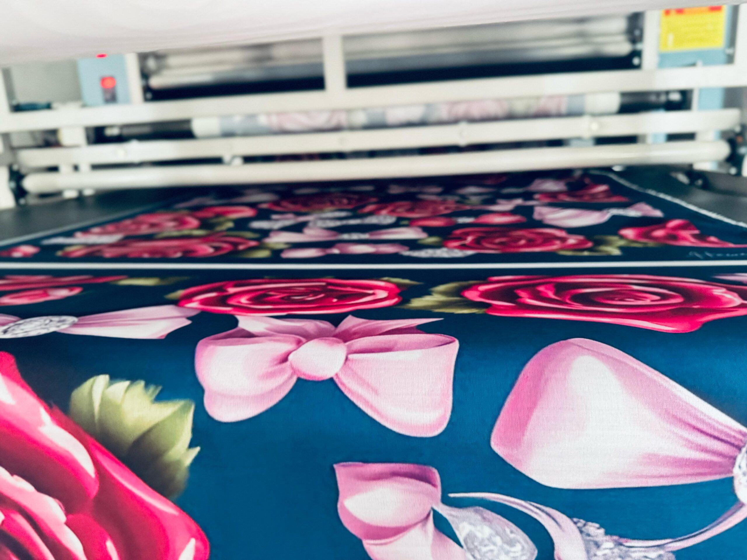 WhatsApp Image 2025-10-01 at 15.12.56